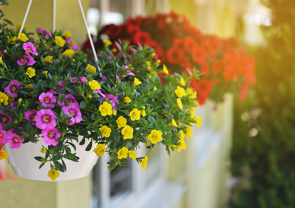 Garden Supply Store 1 Garden Supply Store -Garden Supply Store 1