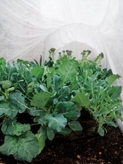 Summerweight Garden Fabric -Garden Supply Store 32644 7936 tif