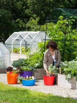 3-Season Plant Protection Tent, 3' X 6' 21 3-Season Plant Protection Tent, 3' X 6' -Garden Supply Store 35 592 0181 1