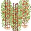 Tomato Ladders, Set Of 3 1 Tomato Ladders, Set Of 3 -Garden Supply Store 38185 001E psd