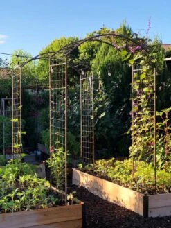 Jardin Rose Arch -Garden Supply Store 38690 02IN tif 1