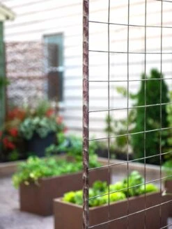 Jardin Rose Arch -Garden Supply Store 38690 9948 tif