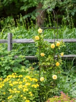 Jardin Round Obelisk, 7' -Garden Supply Store 39 530 1668 tif