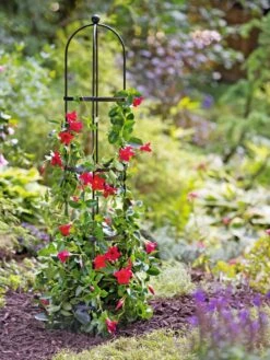 Essex Round Trellises -Garden Supply Store 39544 2267 tif