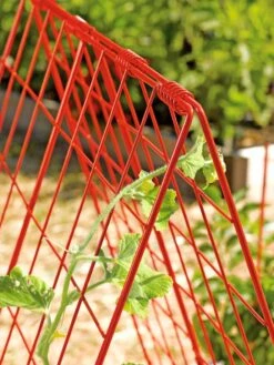 Deluxe Cucumber Trellis 12 Deluxe Cucumber Trellis -Garden Supply Store 39806 542 tif