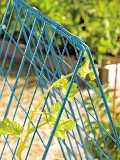 Deluxe Cucumber Trellis 14 Deluxe Cucumber Trellis -Garden Supply Store 39806 BLUE 100 tif
