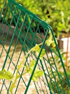 Deluxe Cucumber Trellis 13 Deluxe Cucumber Trellis -Garden Supply Store 39806 GR edit tif