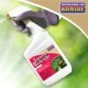 BonideĀ® Japanese Beetle Killer 2 BonideĀ® Japanese Beetle Killer -Garden Supply Store 3 4 crop 8586927 01V 3 4