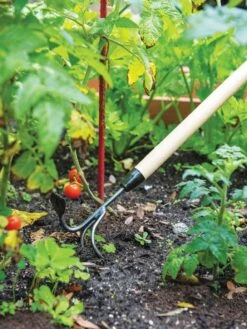 Gardener's Lifetime Long-Handled Double Tool 9 Gardener's Lifetime Long-Handled Double Tool -Garden Supply Store 3 4 crop 8592107 2460 tif