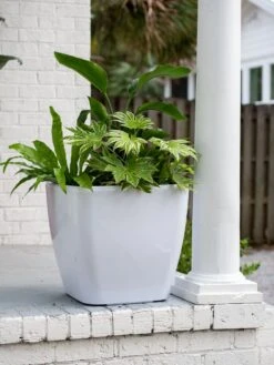 Viva Square Self-Watering Rolling Planter, 20" Diameter, Set Of 2 -Garden Supply Store 3 4 crop 8612930 0033 tif