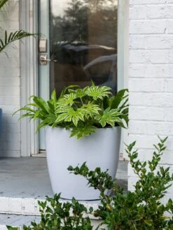 Viva Round Self-Watering Rolling Planter, 20" Diameter, Set Of 2 -Garden Supply Store 3 4 crop 8612933 0025 tif