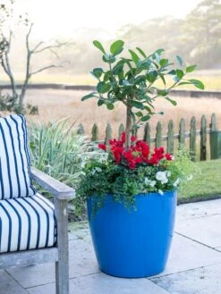 Viva Round Self-Watering Rolling Planter, 20" Diameter, Set Of 2 -Garden Supply Store 3 4 crop 8612933 5312 tif