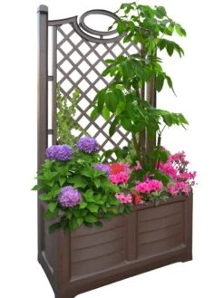 Separate Flower Box With Trellis -Garden Supply Store 3 4 crop 8613626 04V