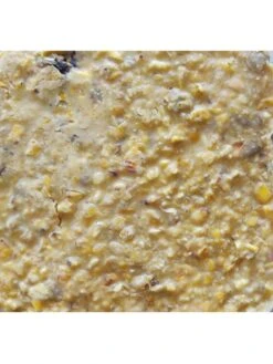 Cherry Sunflower Suet, 11.75 OZ, 12 Pack 9 Cherry Sunflower Suet, 11.75 OZ, 12 Pack -Garden Supply Store 3 4 crop 8613689 04V