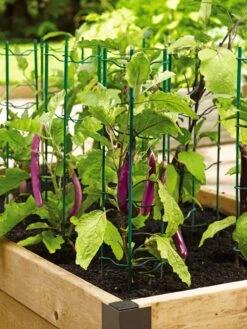 Pepper And Eggplant Stakes, Set Of 3 7 Pepper And Eggplant Stakes, Set Of 3 -Garden Supply Store 40308 2116 tif