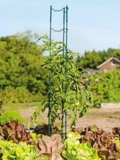 Stacking Tomato Ladders, Set Of 6 9 Stacking Tomato Ladders, Set Of 6 -Garden Supply Store 40309 100 tif