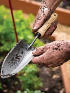 Gardener's Lifetime Trowel 13 Gardener's Lifetime Trowel -Garden Supply Store 8586972 3242 tif