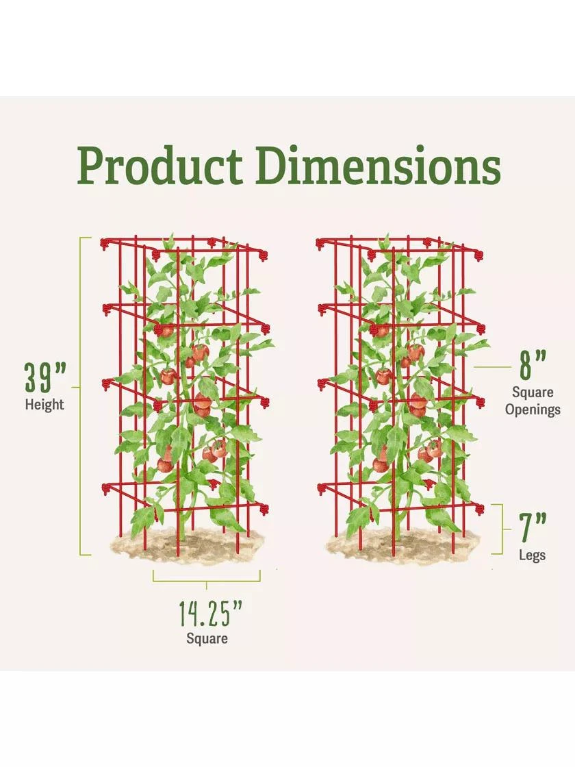 Tomato Cages, Set Of 4 8 Tomato Cages, Set Of 4 - Image 6