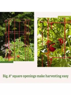 Tomato Cages, Set Of 4 15 Tomato Cages, Set Of 4 -Garden Supply Store 8587040 2