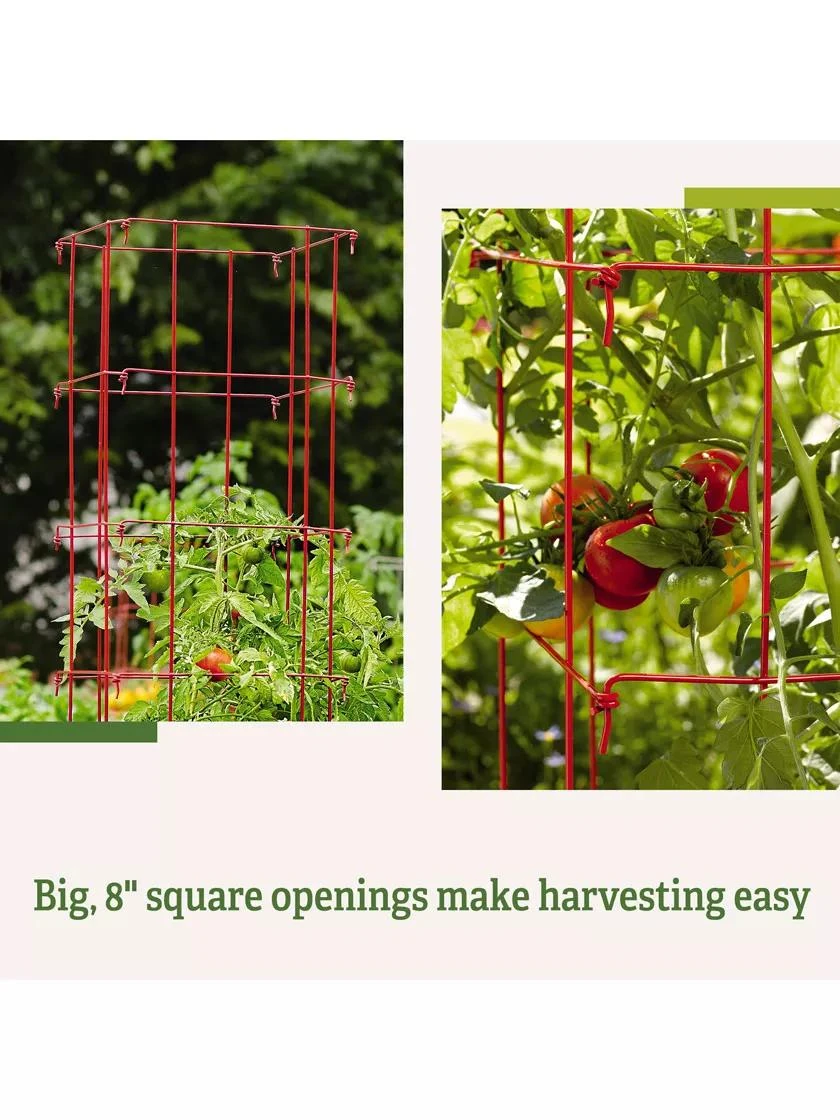 Tomato Cages, Set Of 4 9 Tomato Cages, Set Of 4 - Image 7