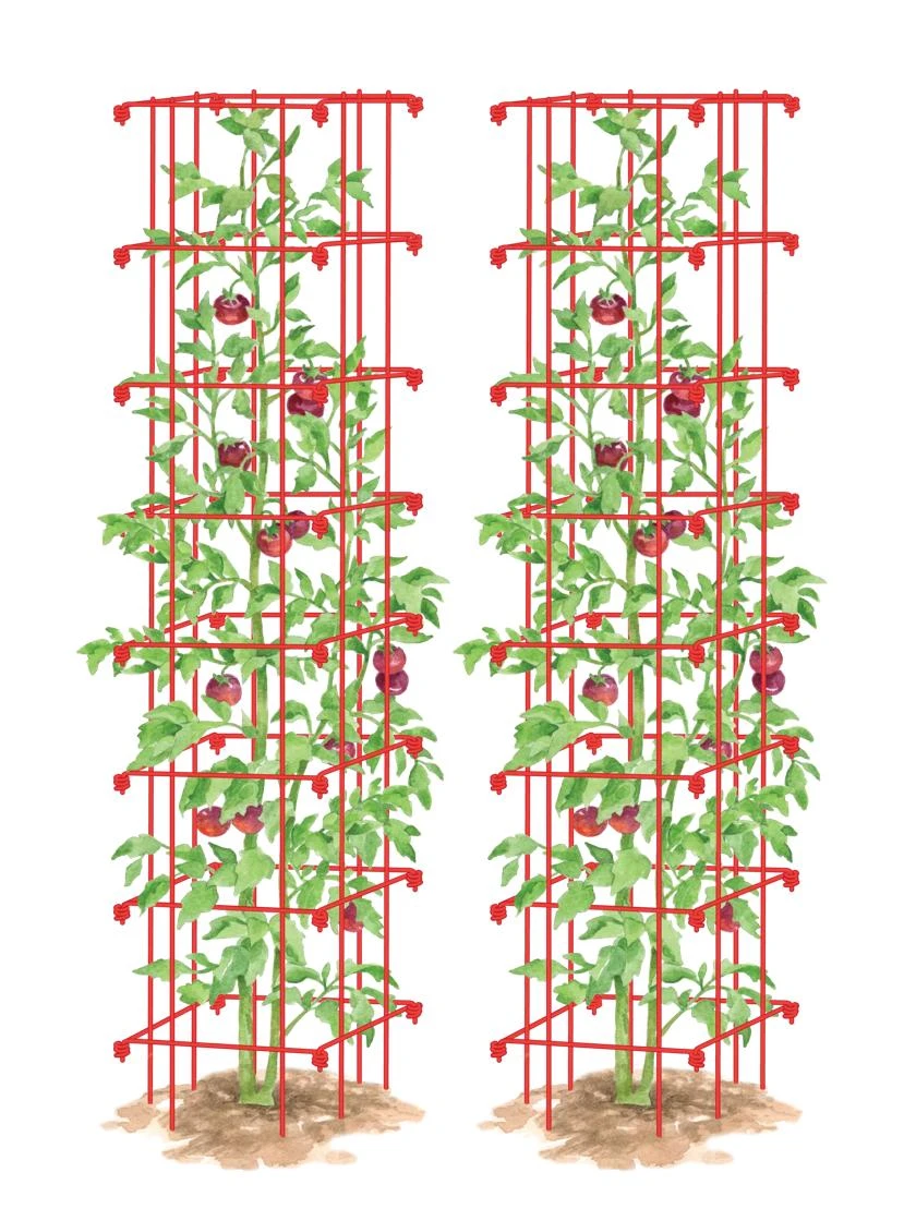 Tomato Towers, Set Of 2 3 Tomato Towers, Set Of 2