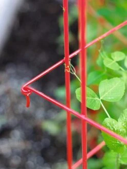 Tall Expandable Pea Trellis 9 Tall Expandable Pea Trellis -Garden Supply Store 8587061 010 tif