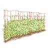 Expandable Pea Trellis -Garden Supply Store 8587061 PeaFence Red 001E tif