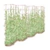 Tall Expandable Pea Trellis 2 Tall Expandable Pea Trellis -Garden Supply Store 8587062 0001 RED tall expandable pea trelis tif