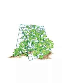 Deluxe Cucumber Trellis 17 Deluxe Cucumber Trellis -Garden Supply Store 8587083 001 BLUE Cukes two sided deluxe cucumber trellis support storm blue 3 4