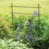 Jardin Ladder Trellis 1 Jardin Ladder Trellis -Garden Supply Store 8587107 1651 tif