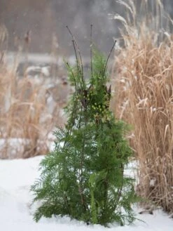 Jardin Pot Trellis -Garden Supply Store 8587120 009 tif