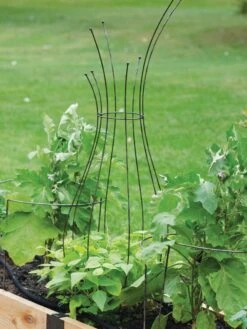Jardin Pot Trellis -Garden Supply Store 8587120 7037 tif