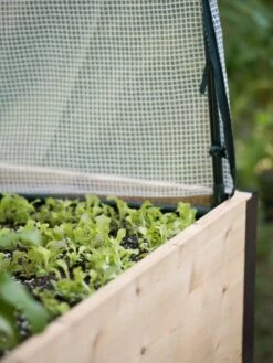 Protection Frame & Covers, 2' X 4' -Garden Supply Store 8587631 265 tif