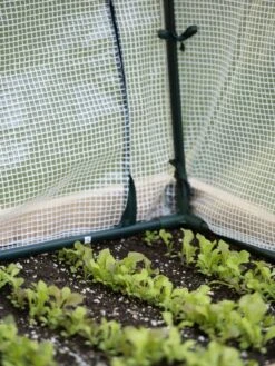 Protection Frame & Covers, 2' X 4' -Garden Supply Store 8587631 271 tif