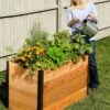 Elevated Raised Bed, 2' X 4' 2 Elevated Raised Bed, 2' X 4' -Garden Supply Store 8587822 675 tif
