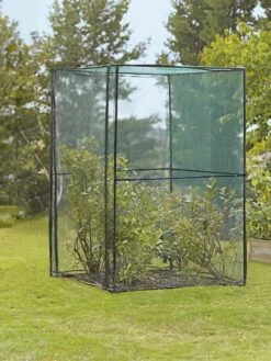 Crop Cage, 4' X 4' -Garden Supply Store 8587832 149 tif