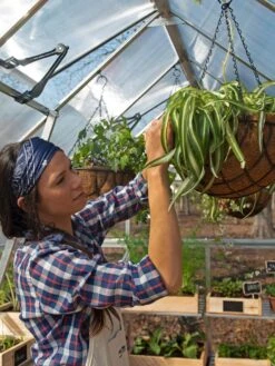 Canopia® By Palram Balance Greenhouse, 8' X 12' 31 Canopia® By Palram Balance Greenhouse, 8' X 12' -Garden Supply Store 8588023 07V jpg