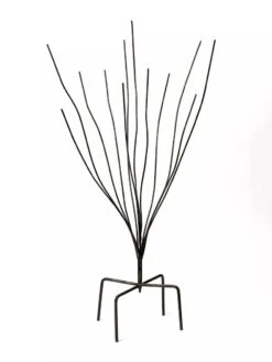 Bottle Bush 7 Bottle Bush -Garden Supply Store 8588047 0697