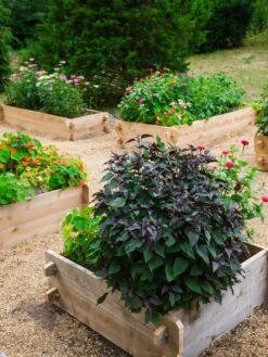 Farmstead Cedar Raised Garden Beds, 3' 10 Farmstead Cedar Raised Garden Beds, 3' -Garden Supply Store 8588143 09V tif