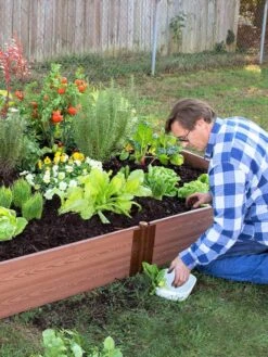 Composite Raised Bed With 1" Boards, 11" 20 Composite Raised Bed With 1" Boards, 11" -Garden Supply Store 8588274 02V tif