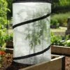 Pop-Up Tomato Accelerator -Garden Supply Store 8589749 4171 pop up tomato plant protector and accelerator tif