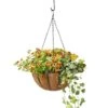 AquaSavâ„¢ Oxford Hanging Basket, 14" 1 AquaSavâ„¢ Oxford Hanging Basket, 14" -Garden Supply Store 8589789 028 tif