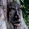 Friendly Ent Tree Face 2 Friendly Ent Tree Face -Garden Supply Store 8589841 001v