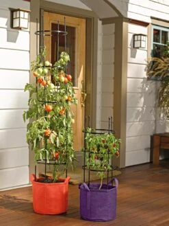 Gardener's Best® Tomato Grow Bag Set -Garden Supply Store 8590013 170 tif