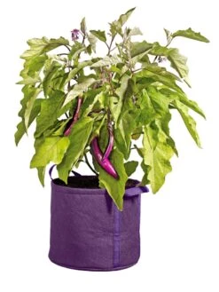 Gardener's Best® Universal Grow Bag -Garden Supply Store 8590024PR 214 tif