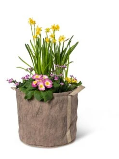 Gardener's Best® Universal Grow Bag -Garden Supply Store 8590024 7307 tif