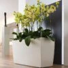 Lechuza® Cararo Rectangular Indoor Planter With Casters 2 Lechuza® Cararo Rectangular Indoor Planter With Casters -Garden Supply Store 8590295 02v lechuza cararo rectangular indoor planter with casters