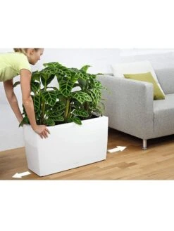 Lechuza® Cararo Rectangular Indoor Planter With Casters -Garden Supply Store 8590295 03v