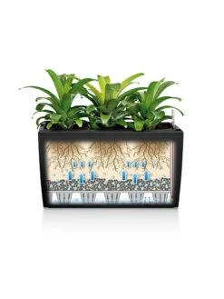 Lechuza® Cararo Rectangular Indoor Planter With Casters -Garden Supply Store 8590295 05v