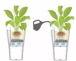 Lechuza® Delta Premium Self-Watering Planters 11 Lechuza® Delta Premium Self-Watering Planters -Garden Supply Store 8590299 07V tif